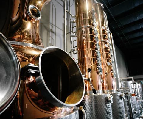 Distilation's profile picture. Producer