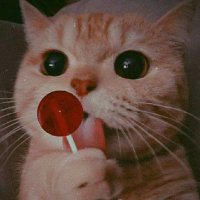 Nicky Lobuky (@frizzbyflicky) 's Twitter Profile