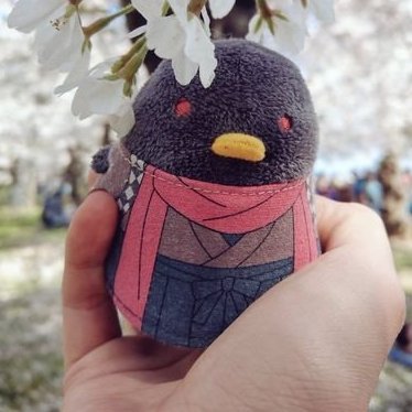 Cal。🇹🇼。 29+。我是一百隻小鳥。
en・中文。
空想家。
fandom:刀剣乱舞,新選組,薄桉鬼,FF7,NieR:A,メサイア,プロメア,魔道,时光代理人,Hades,PSYPASS,明日方舟,PtN,SIGNALIS,ALNST。
🔞 NO GENERATIVE AI。