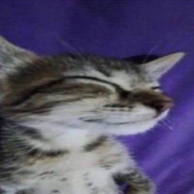 cptsussy's profile picture. @cptsubby’s alt account, 23, he/him. employed at your mom's house