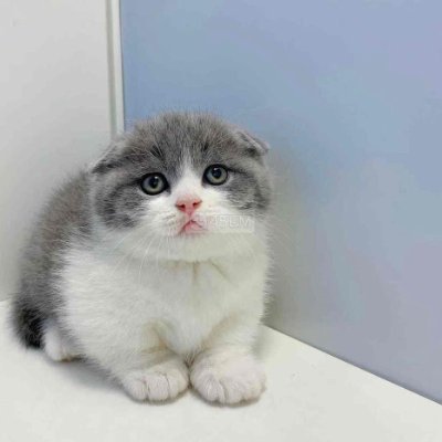 nhiduongngoc199's profile picture. 