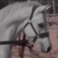 ggjhbbk (@tamyr2360) Twitter profile photo
