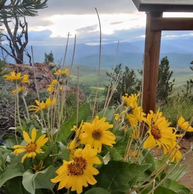 Saywhat731's profile picture. I am a child of God, cherishing my Savior Jesus Christ. Daily, I rely on the Spirit as I navigate through the challenges of raising a family in these crazy days