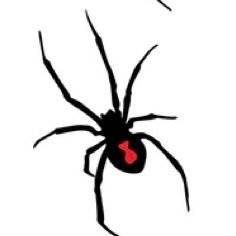 thegirl_kt's profile picture. /234/