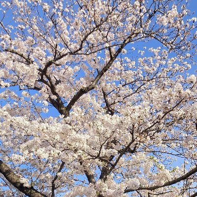 CXDiW6ZS4225308's profile picture. 編入試験用アカ
法政大学経営学部志望
二年次編入絶対合格する！！！