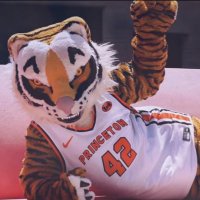 BIG P, THE TIGER 🐅 (@thetigersburner) 's Twitter Profile Photo