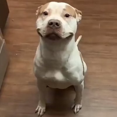 Tzunamybaby's profile picture. 