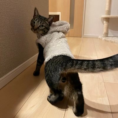 benizuwaigani_e's profile picture. 