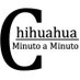 Chihminutoaminuto (@chihuahuaminuto) Twitter profile photo Chihminutoaminuto (@chihuahuaminuto) Twitter profile photo