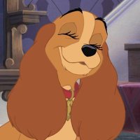 Collette (@aproperpup) 's Twitter Profile