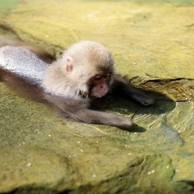 hanging_out_20's profile picture. 