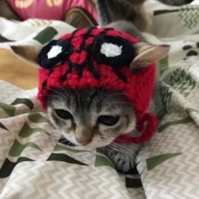 🌹 Brooklyn 🌹さんのプロフィール画像