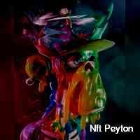 Nft Peyton (@nftteyton_p81) 's Twitter Profile