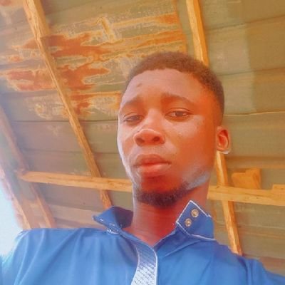 medolee10153's profile picture. 