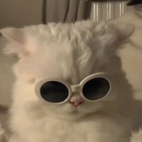 リン (@faa_f_zzz) 's Twitter Profile