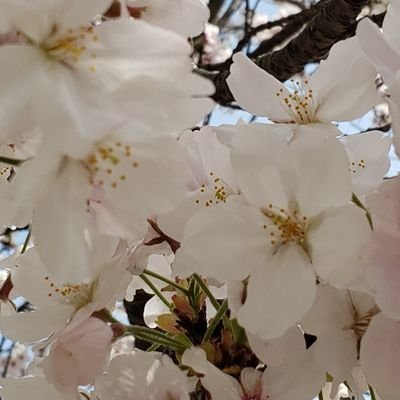 tomom2001's profile picture. 