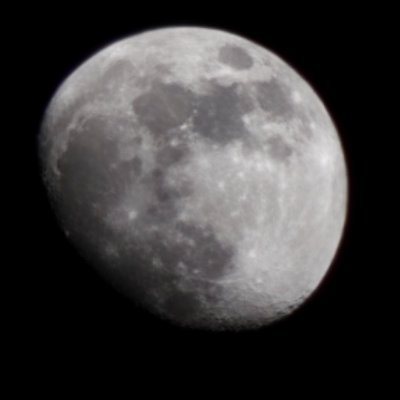 JFehlisLSSP's profile picture. 