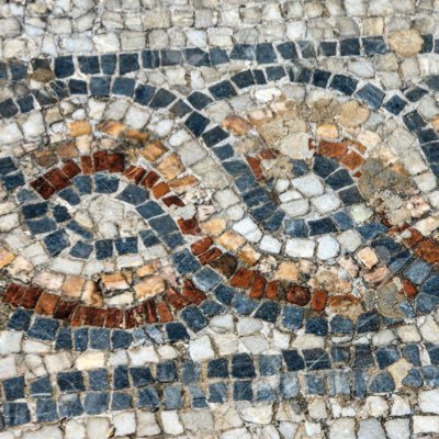 nepcataria's profile picture.