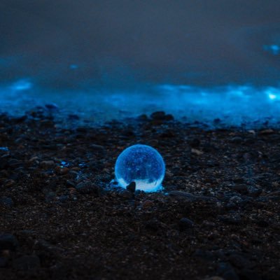 LeeAnn20477757's profile picture. 