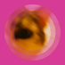 Gyevi Biró (@gyevibiro) Twitter profile photo Gyevi Biró (@gyevibiro) Twitter profile photo
