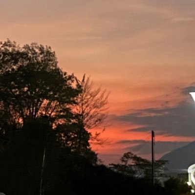 luyisikai's profile picture. 