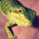 Jessica Patterson - @JessPatterson98 - Twitter