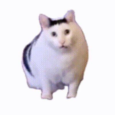 Urban_nshika's profile picture. JTCでホワイト社会人生活