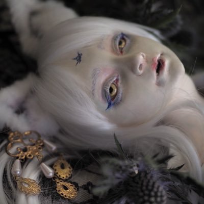 垂狐 ❦ 今年は11/22-30個展だよ 𝚂𝚄𝙸𝙲𝙾 𝙰𝙺𝙴𝙼𝙸𝚈𝙰 垂狐 ❦ 今年は11/22-30個展だよ 𝚂𝚄𝙸𝙲𝙾 𝙰𝙺𝙴𝙼𝙸𝚈𝙰