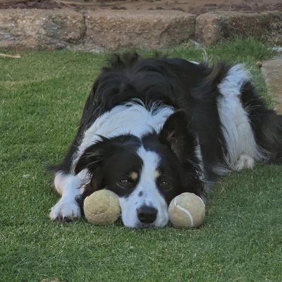 pdi1000's profile picture. Retired Research Engineer with investments in #Uranium