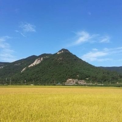 처처불상! 處處佛像! 사사불공! 事事佛供!  🙏