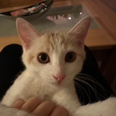 xxx_int_xxx's profile picture. @EXXCLUSlVE
https://t.co/rQQ0WYmELO