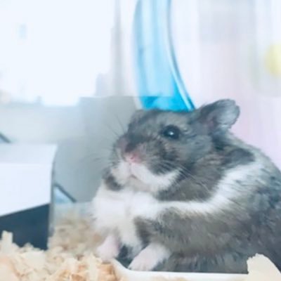 ゆうゆうさんのプロフィール画像