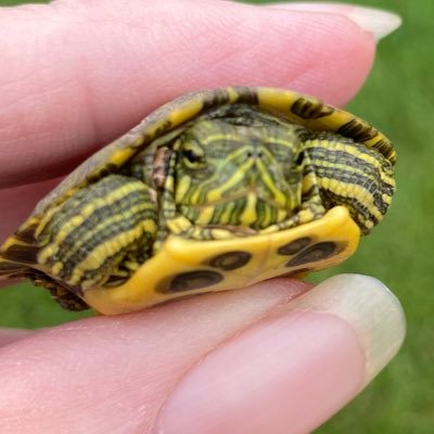 lkelly's profile picture. 