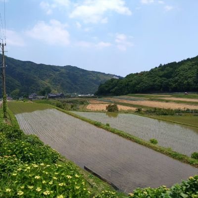 espresso_407's profile picture. 大学職員です。
2025年度に簿記論に挑戦します。
育児と仕事、筋トレも頑張ります。
所有資格：日商簿記2級、全経消費税法能力検定1級、ITパスポート、TOEIC730点

天安門事件　8964　我愛台湾