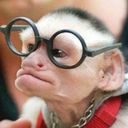 aaron forte - @Gump7413 - Twitter