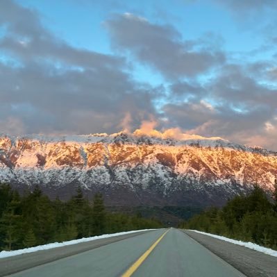 nhfernandez's profile picture. 