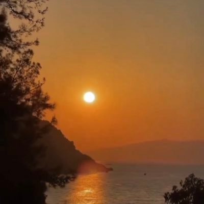 fmhsyry44637465's profile picture. 