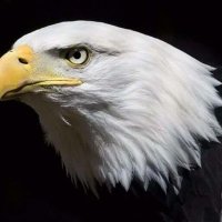 Khan Khosa (@khankhosa92) 's Twitter Profile