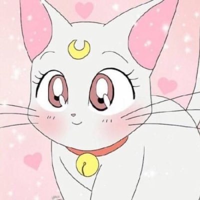 nominicoty Profile Picture