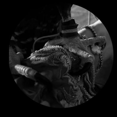 ALKING92656135's profile picture. 