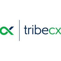 TribeCX (@tribecx) 's Twitter Profile