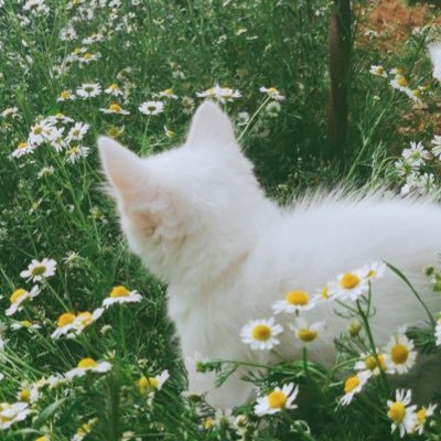 凪さんのプロフィール画像