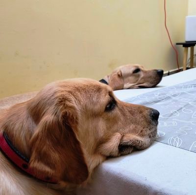 samm196000's profile picture. 