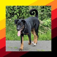 Monika (@monikafries) 's Twitter Profile