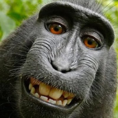 ElChorisoo's profile picture. 🫡