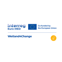 Wetland4Change (@wetland4change) 's Twitter Profile