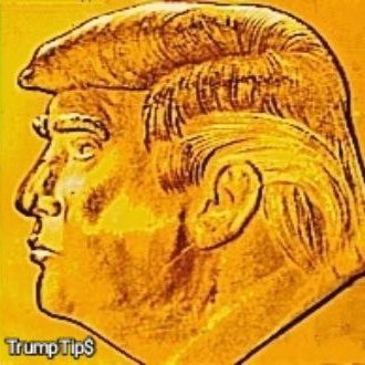 realTrumpTips's profile picture. TrumpTip$ builds winners  #TruTip

https://t.co/xtIgDuDWtl