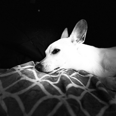 7tilsunsetllc's profile picture. 