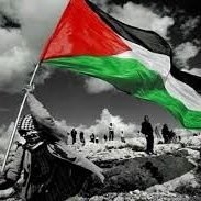 MR_YASSINEB's profile picture. Domain Consultant