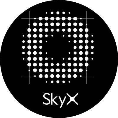 STONE_SkyX's profile picture. Co-Founder@SkyX